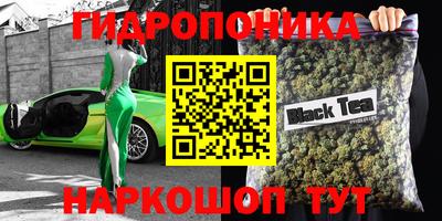 гидра Пушкино